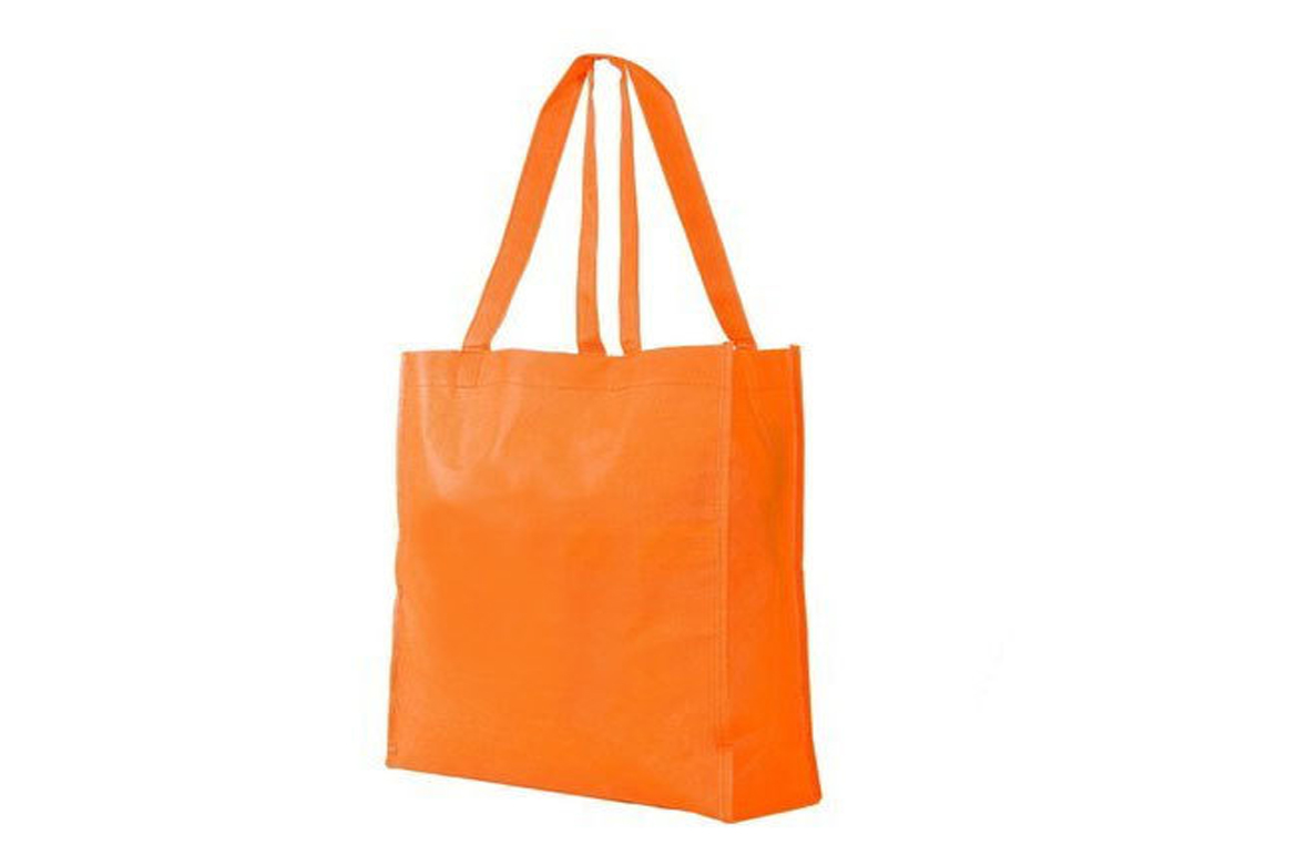 Vegetable Bags for Shopping Pack of 10 Size 12x14x4 inches - ADITRI Eco ...
